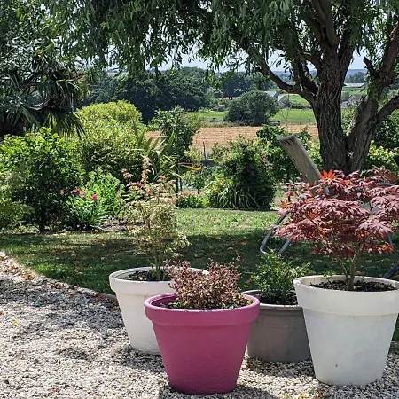 Pamphilienne Vue Mont Saint Michel Et Campagne Normande *