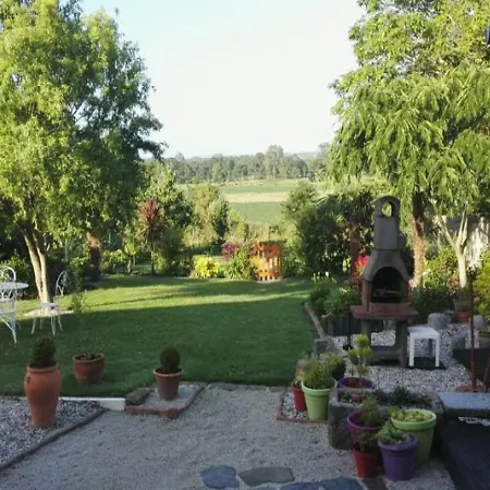 Pamphilienne Vue Mont Saint Michel Et Campagne Normande
