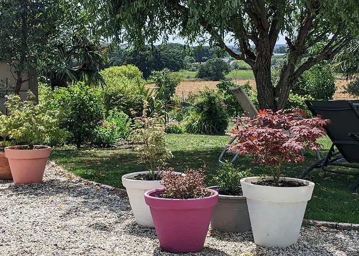 Pamphilienne Vue Mont Saint Michel Et Campagne Normande *
